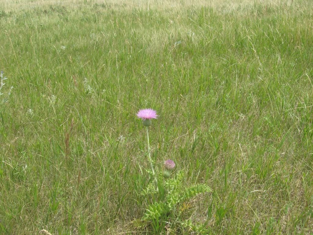 IMG_5364.jpg
